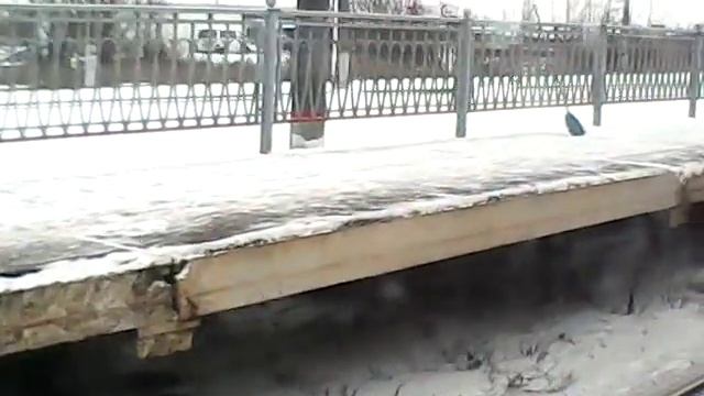 От Купчино - царское  село Пушкин