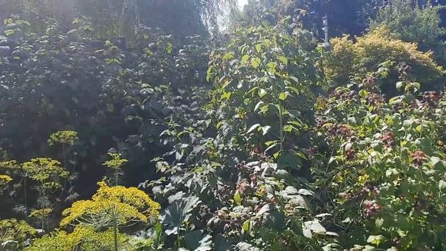 ГОТОВИМ РУЛЬКУ В КАЗАНЕ смотреть онлайн