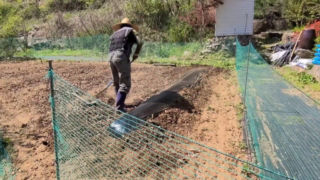 영월 농부삽질 멀칭방법 비닐멀칭작업 미니경작기 클래식기타 #그리운사람끼리#기차는8시에떠나네#미니경작기 смотреть онлайн