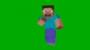 Стив флексит