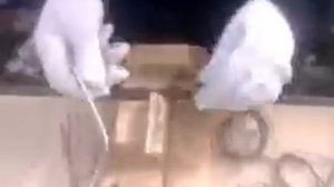 Часть 1. Вязка арматуры для ленточного фундамента.