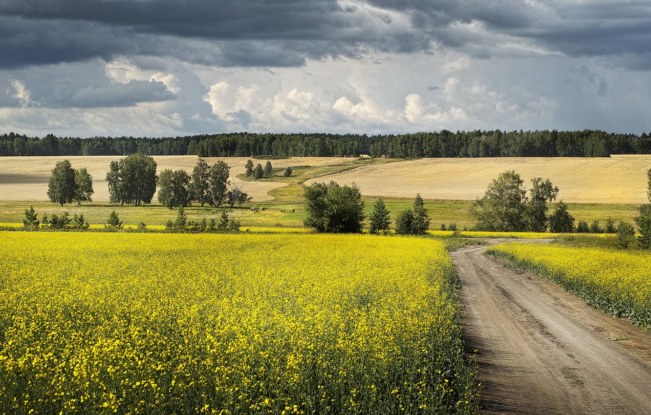 Картина большая ширь