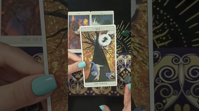 КАКОЙ У ВАС СКРЫТЫЙ ТАЛАНТ ** The Way Jodorowsky Explained Tarot To This Cat By Alejandro Jodorowsky