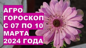 Агрогороскоп с 07 по 10 марта 2024 года. Agrohoroscope from March 7 to March 10, 2024