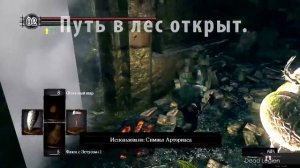 СИМВОЛ АРТОРИАСА (Как попасть в сад Тёмных Корней) / КОЛЬЦО С ВОЛКОМ - [Лес для pvp Dark Souls]