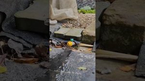 Консервация труб на зиму. Водоснабжение на даче.