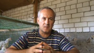 Бройлеры сели на ноги . Помог рыбий жир .