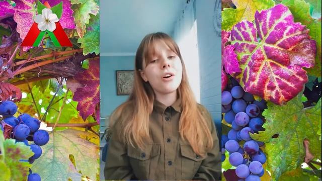 Подарок ветерану. Песня "Смуглянка" - поет Шишко Елизавета 9 класс смотреть онлайн