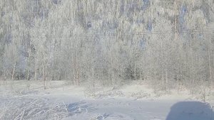 Кошмар!!! Оффроад на загрузке и как загрузить каток на трал зимой.