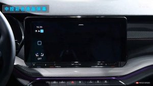 功能手册 2021款斯柯达明锐SKODA OCTAVIA PRO TSI280 DSG高配版