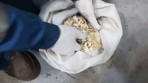 Дробилка своими руками для получения мульчи.