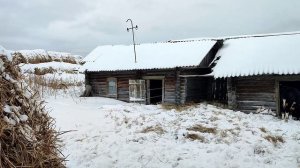 Изменения в содержании бычков. Какое сено купили.