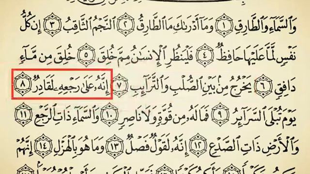 ТОРИК СУРАСИ шайх Алижон кори смотреть онлайн