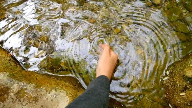 Прогулка Светы и каменные грибы. Света в Крыму смотреть онлайн