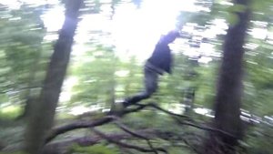 Леший в лесу