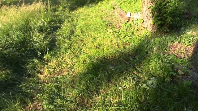 Чем ручная коса лучше триммера. Застукал лесных голубей и МЕГА салат с секретным ингредиентом! смотреть онлайн