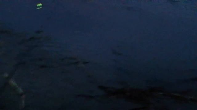 Ночная рыбалка на леща,на поплавок. смотреть онлайн