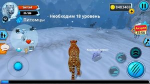 Симулятор Семьи Белого Тигра #3 Рыжая Дикая Кошка Кида и семья. Много маленьких тигрят на Пурумчата