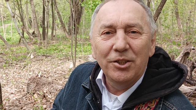 Владимир Чигрин " Я улетаю..." (песня) смотреть онлайн