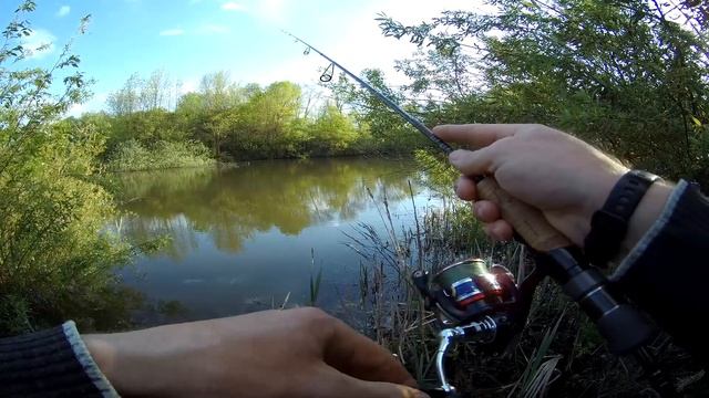 Где окунь??? Рыбалка на неизвестном пруде. смотреть онлайн