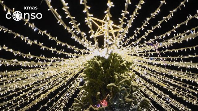 Елка со звёздным небом в Лисьем Носу #consoxmas
