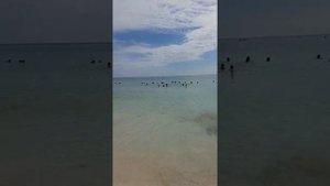 Iberostar Paraiso Del Mar . Мексика. Часть 8. Пляж