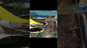 помпа к мотоблока нева