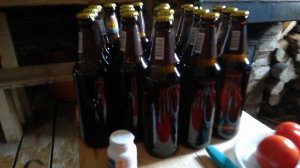 Выживание на даче зимой.Шашлык и Баня.