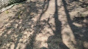 Доброволец "Пулька".