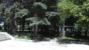 Санаторий им.Центросоюза ессентуки - территория