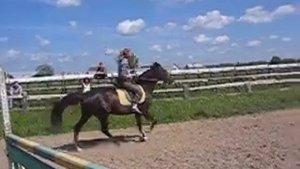 Верховая езда. Рысь-галоп.
