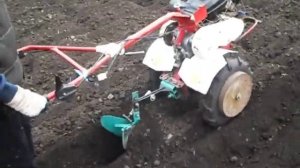 мотоблок зид фаворит -посадка картошки