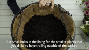 How to plant a hanging basket | Grow at Home | Royal Horticultural Society