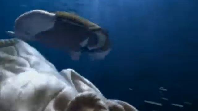 Dentro de la Labadora -dbm- смотреть онлайн