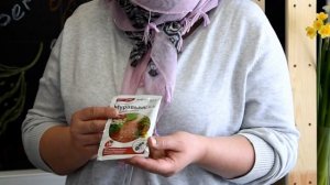 Болезни и вредители роз чем и когда опрыскивать розы Советы от специалиста