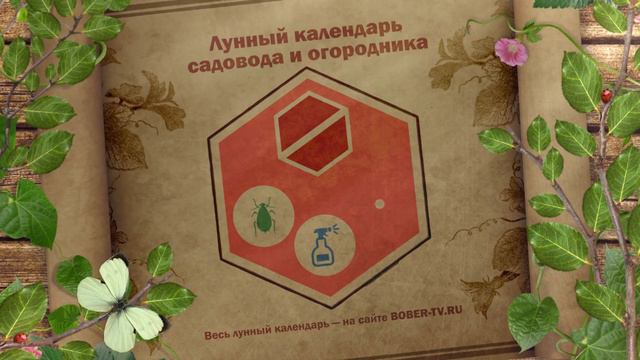 Moon Calendar 10082017 смотреть онлайн