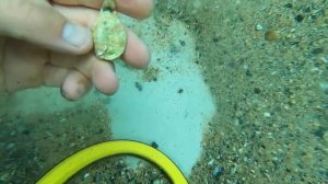 Search for DECEASED Owners GOLD while Underwater Metal Detecting (Returned to Grandson)