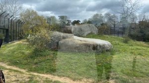 ПАРИЖ, ДИСНЕЙЛЕНД, СТОИТЬ ЛИ ЕХАТЬ? Влог и обзор, цены и личный опыт