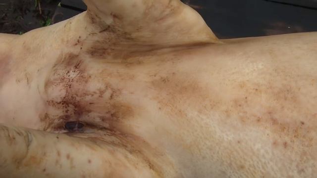 Деревня. Теория забоя. смотреть онлайн