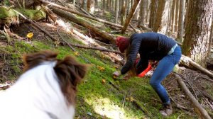 Wild Chanterelle Mushroom Hunting + The Best Way to Cook Chanterelles | Foraging in the PNW