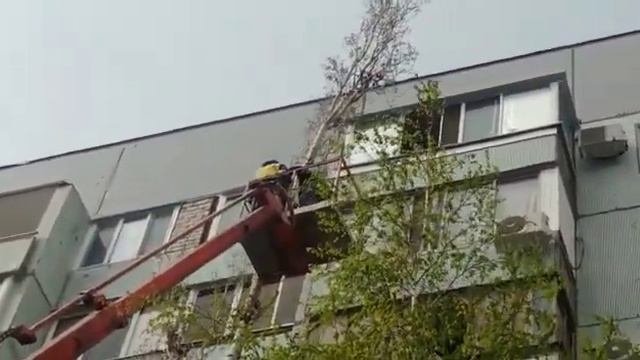 #вышка #спилдеревьев #работа