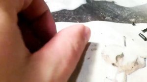 Ремонт электрической кофеварки.