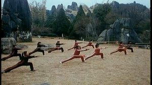 Алексей Лихов: Что такое УШУ?