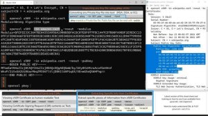 Looking inside an SSL Certificate with OpenSSL