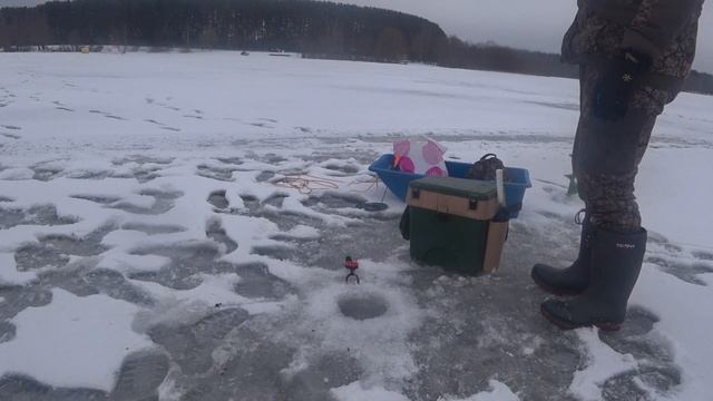 ЛЕЩИ НЕ ЛЕЗУТ В ЛУНКУ. ПЕРВАЯ РЫБАЛКА 2021 ГОДА В ПОДМОСКОВЬЕ ОКАЗАЛАСЬ ТРОФЕЙНОЙ. смотреть онлайн