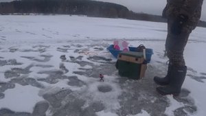 ЛЕЩИ НЕ ЛЕЗУТ В ЛУНКУ. ПЕРВАЯ РЫБАЛКА 2021 ГОДА В ПОДМОСКОВЬЕ ОКАЗАЛАСЬ ТРОФЕЙНОЙ.