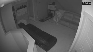 Ryan Trahan: Я ПРОВЕЛ 50 ЧАСОВ В ПОЛНОЙ ТЕМНОТЕ