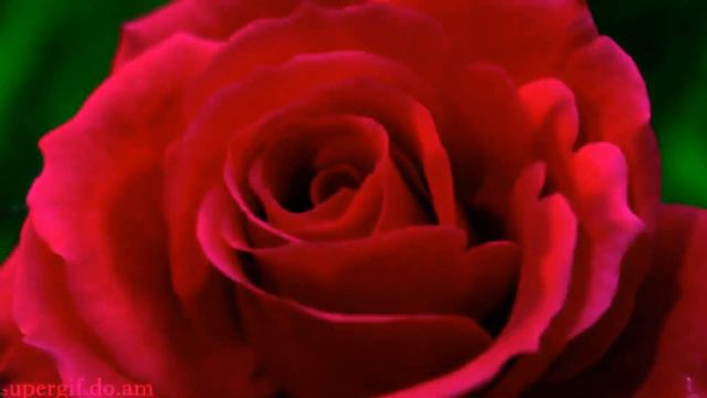 Вячеслав Белько Я Лишь Хочу - Автор Розалия Трукшина смотреть онлайн