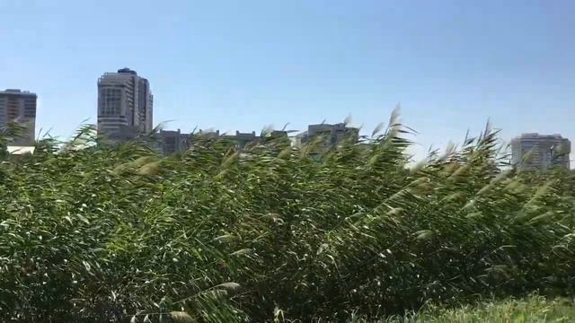 Новости Ажурной Рыбки на пруду и про петельки Берета Бобби смотреть онлайн