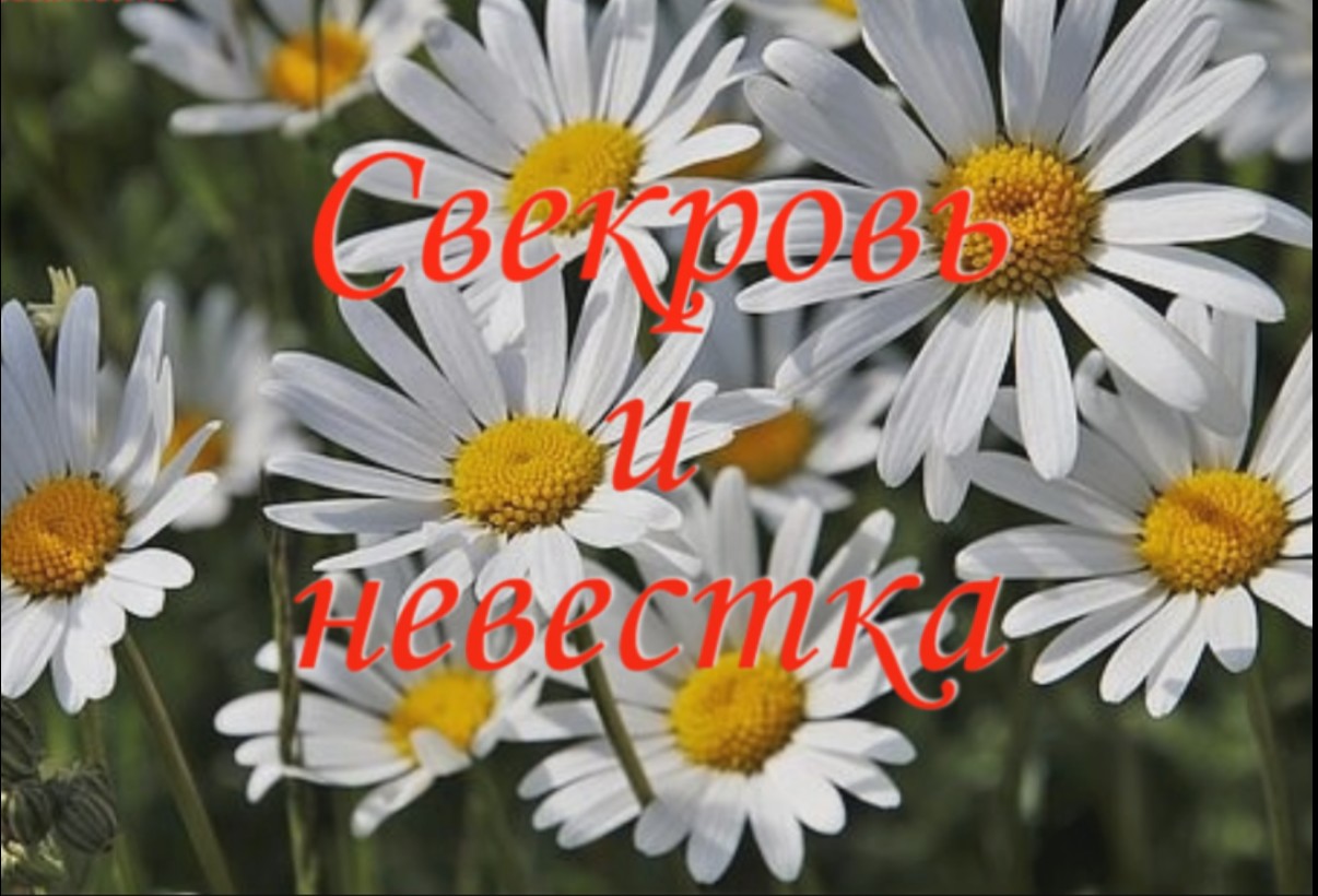 Притча "Свекровь и невестка"- видео, бесплатно. смотреть онлайн